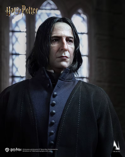 Character from 'Harry Potter' wearing a dark robe in front of stained glass windows.