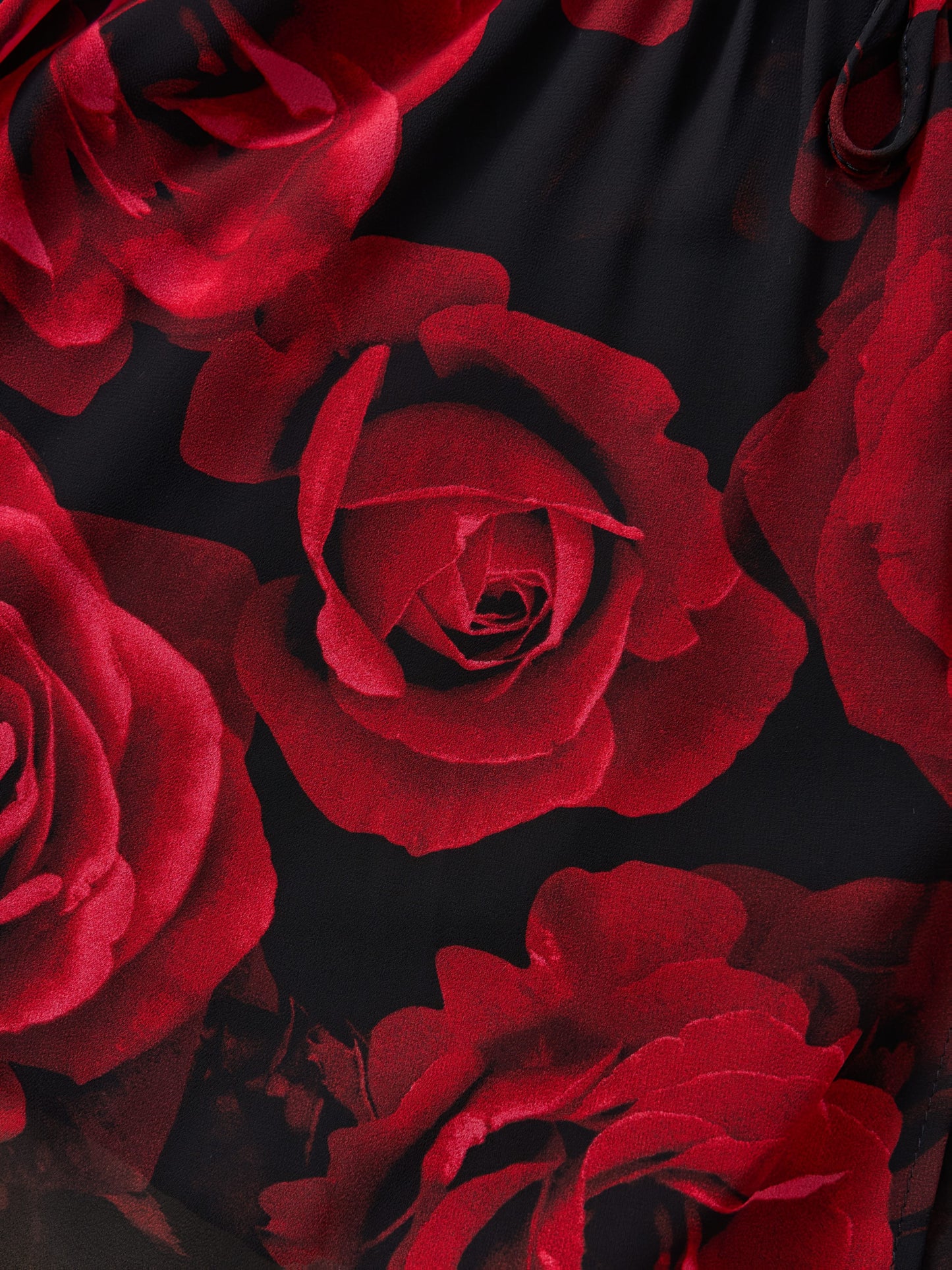 Close-up of red roses on a black background